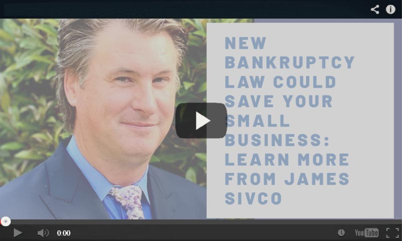 Bankruptcy-Law-Video-02-new